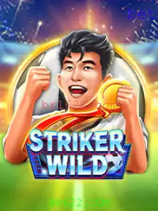 StrikerWILD: Uma Experiência de Jogo Inovadora